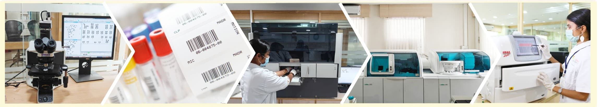 BioLine laboratory — microscopy, sample processing and automated analyzers
